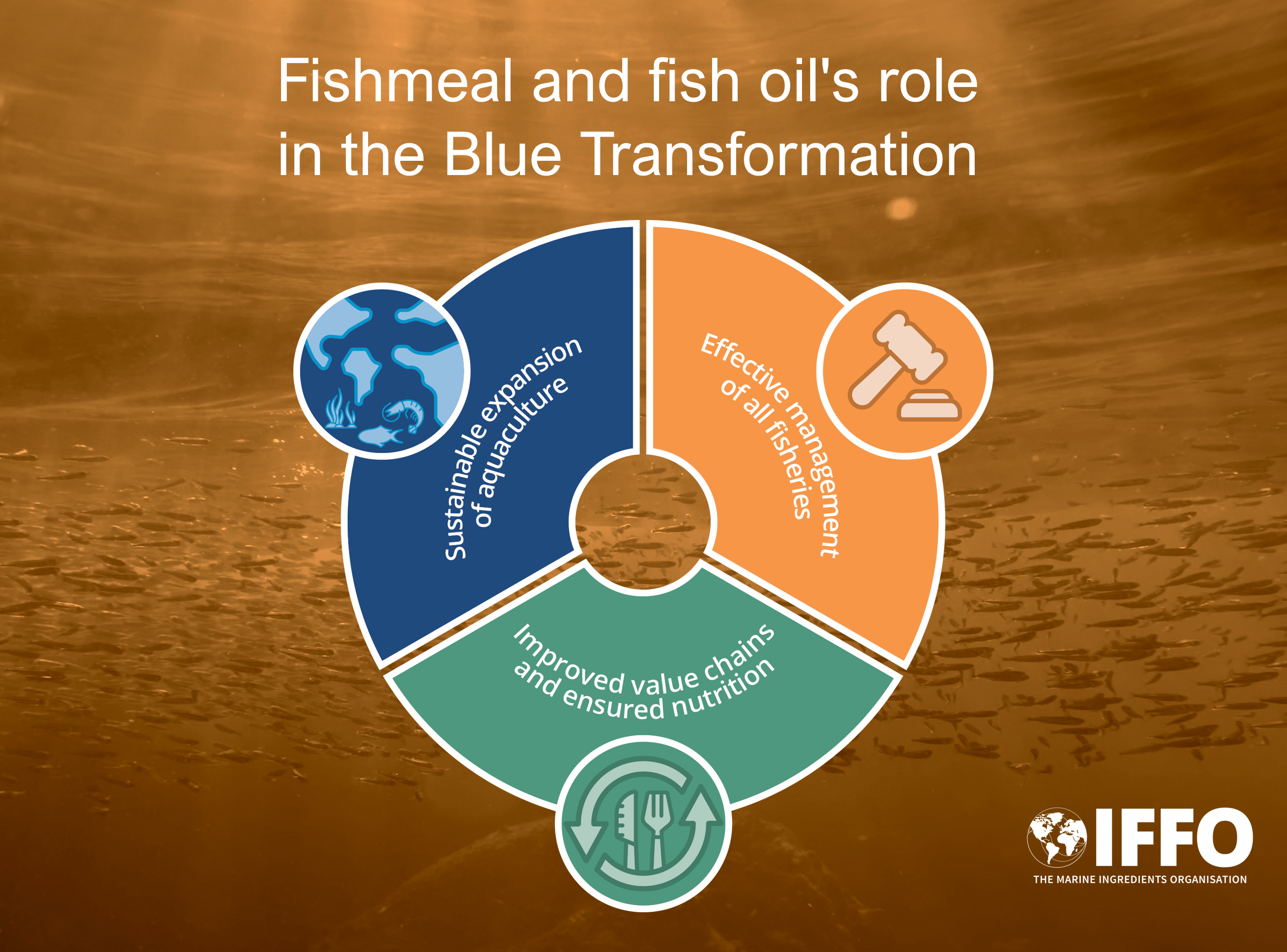 Fishmeal and fish oil's role in the Blue Transformation