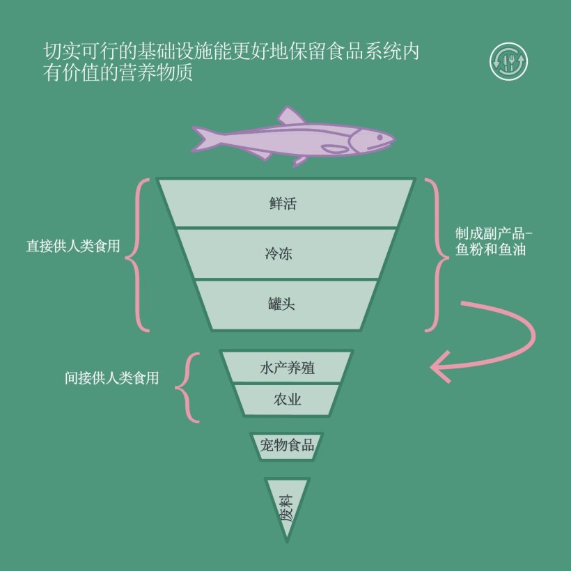 切实可行的基础设施能更好地保留食品系统内有价值的营养物质