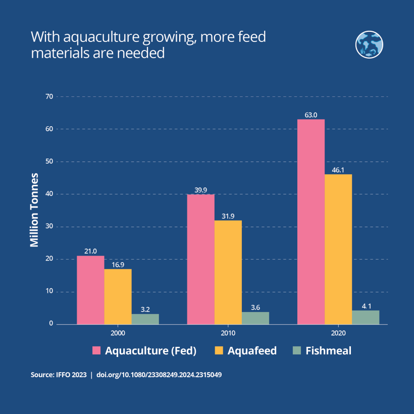 With aquaculture growing, more feed materials are needed