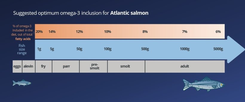 Suggested optimum omega-3 inclusion for Atlantic salmon 