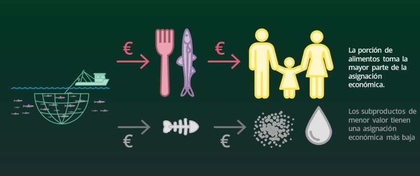 La UE exige que los análisis de LCA en el sector de alimentos balanceados se basen en la asignación económica