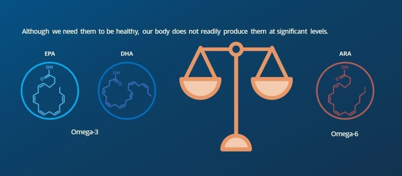 All animals (including humans) need EPA & DHA