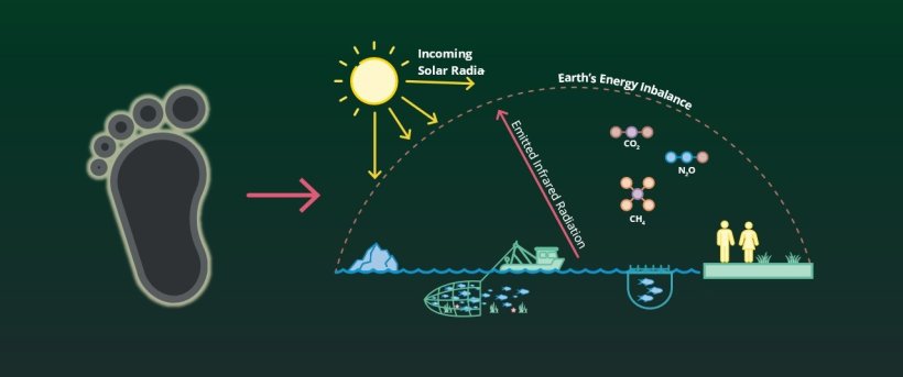 Una huella de carbono es la cantidad total de emisiones de gases de efecto invernadero (de un proceso o una actividad) que causan el calentamiento global