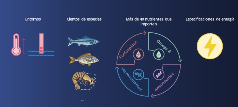 En la actualidad, se producen diferentes alimentos balanceados para diferentes especies y entornos en función de especificaciones variables de nutrientes y energía.