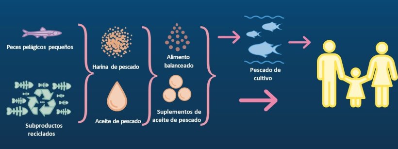 small pelagic species in our diets