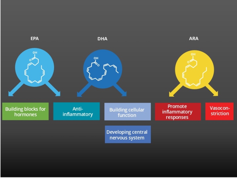 EPA and DHA have been reported to contribute different roles to our health