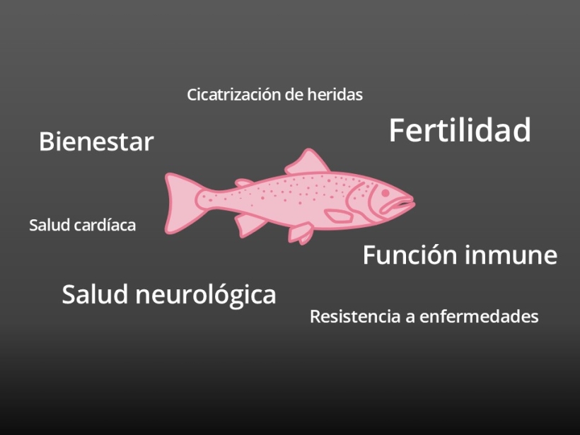 EPA y DHA son esenciales en la salud de los peces