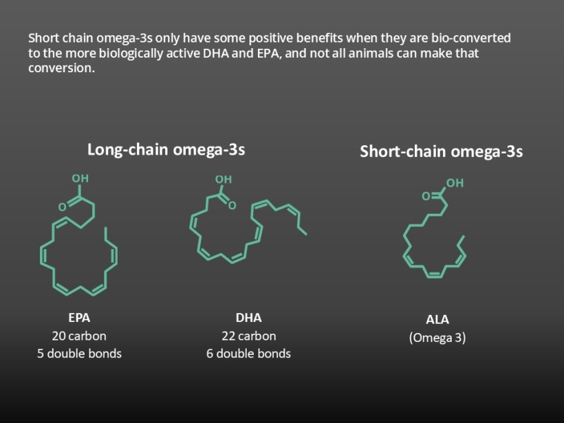 Omega-3s play a specific role in animal health but not all of them are equal