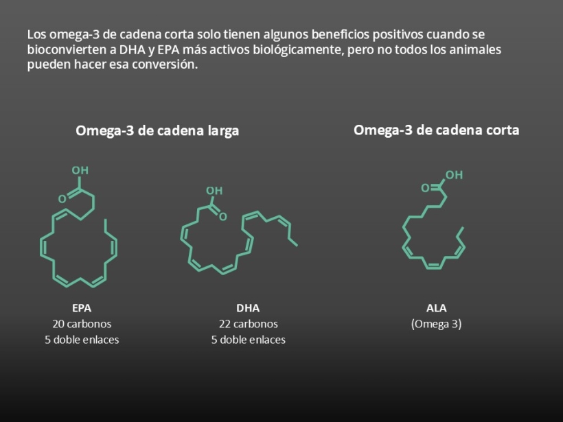 Los omega-3 juegan un papel específico en la salud animal, pero no todos son iguales