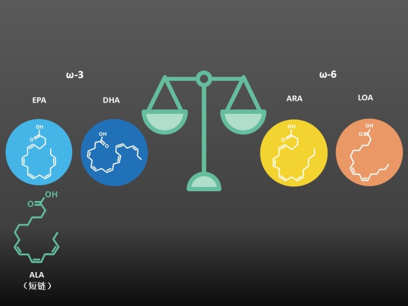 Omega-3s work in balance with omega-6s 