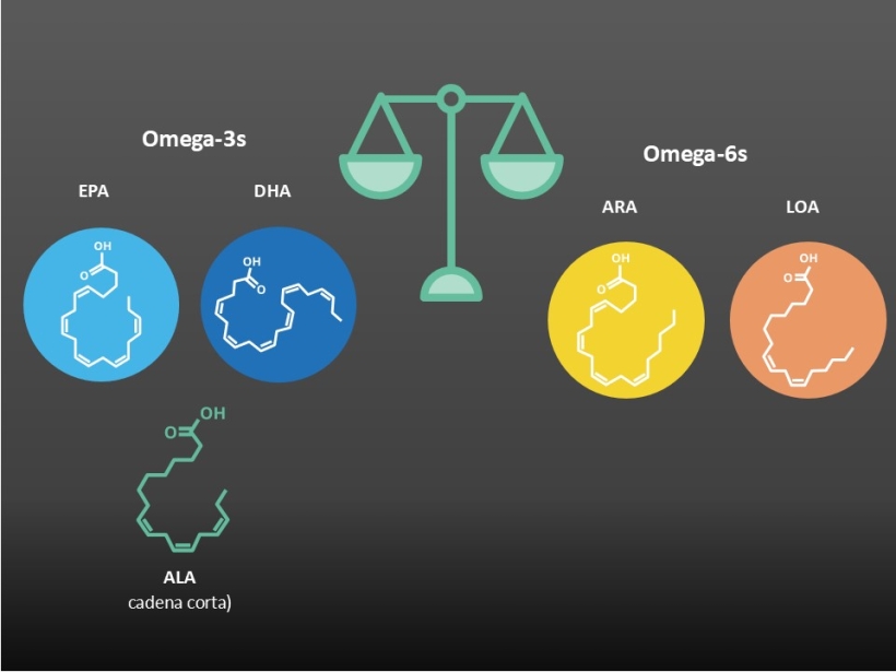 Los omega-3 funcionan en equilibrio con los omega-6