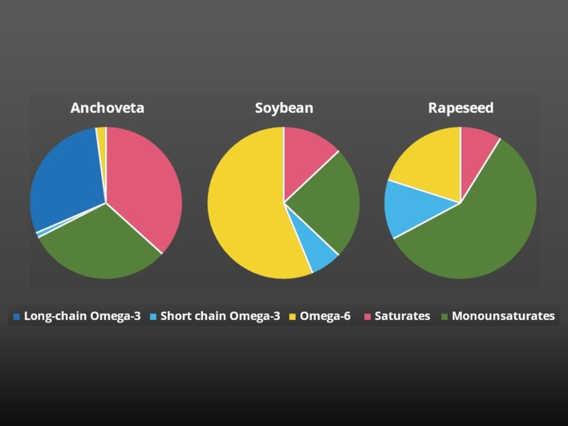 Omega-3 profiles differ