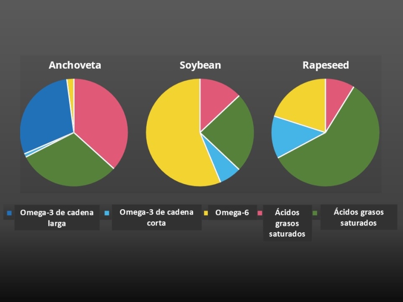 Los perfiles de omega-3 son diferentes