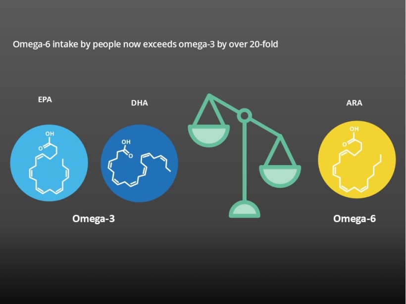 All animals (including humans) need EPA & DHA