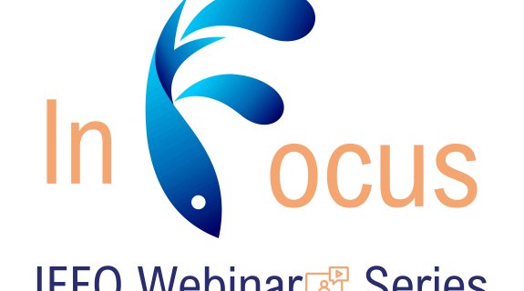 IN FOCUS Webinar - 20th November