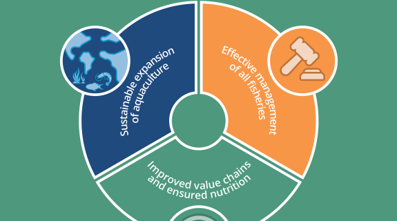 Fishmeal and fish oil's role in the Blue Transformation