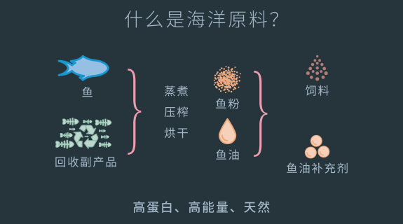 海洋原料的角色