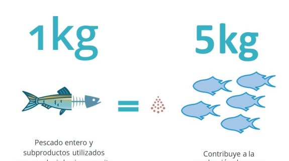 La evolución de las métricas de sostenibilidad de los ingredientes marinos