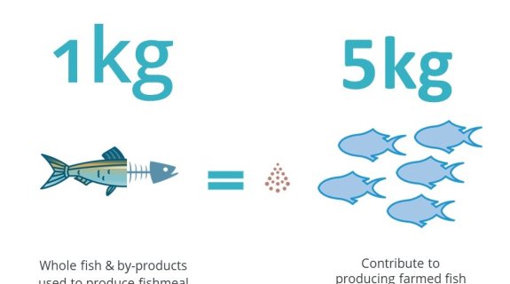 The Evolution of Sustainability metrics for marine ingredients