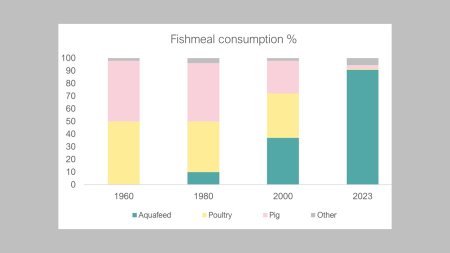 Marine ingredients demand - Global data