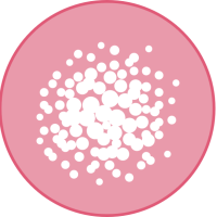 Microplastic Origins and Uptake