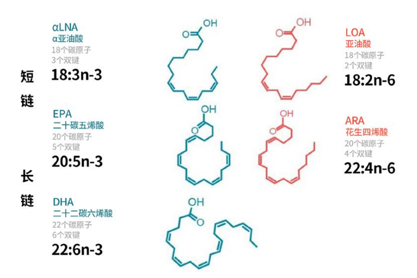 Omega3s