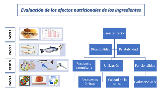 Assessing nutritional effects of ingredients