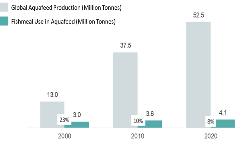 aquaculture feed