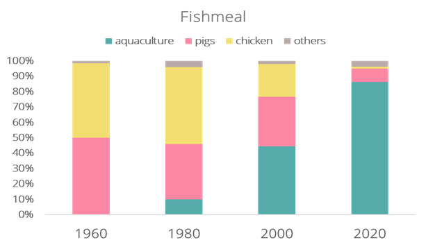 global use FMFO