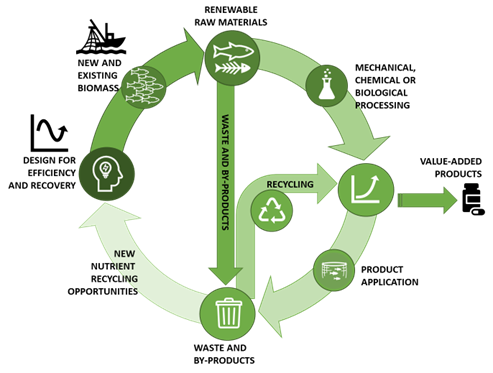 Figure 6. Circular thinking is increasingly be adopted in the marine ingredients sector to valorise all parts of the fish on a “no such thing as waste” policy