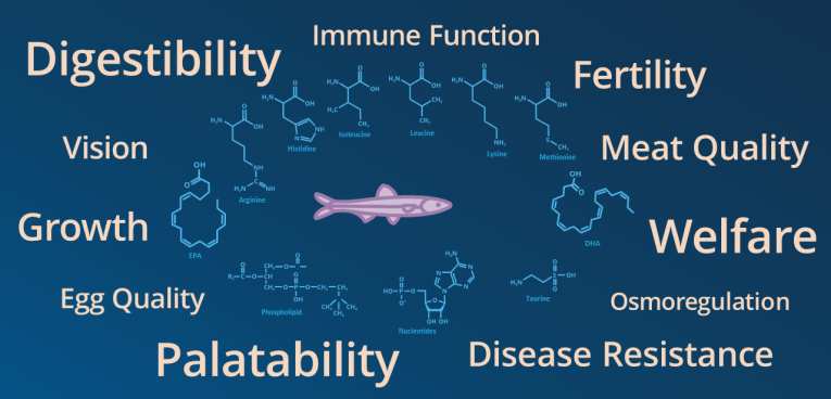 Fish Feed Formulation Differs from Raw Materials and Fish Species