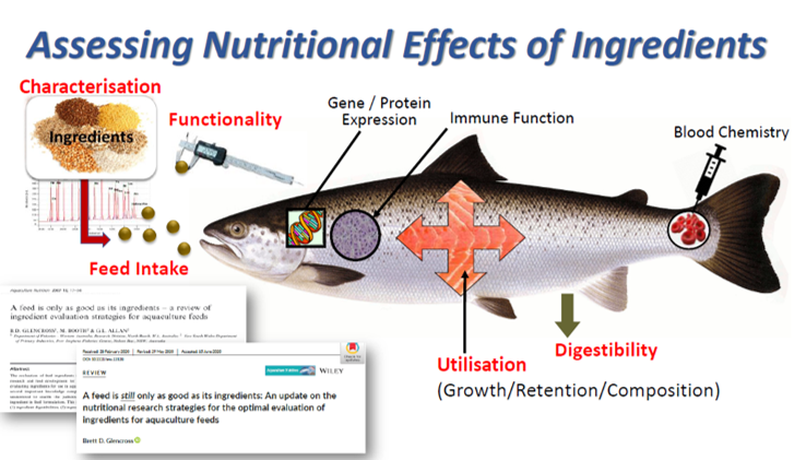 Feed intake