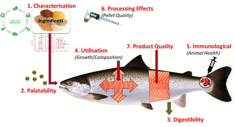 ingredient assessment