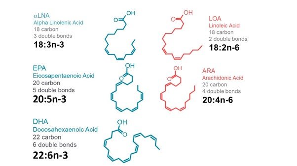 Long chain fatty acids