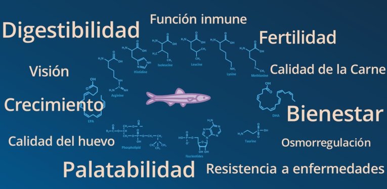 Fish nutrition