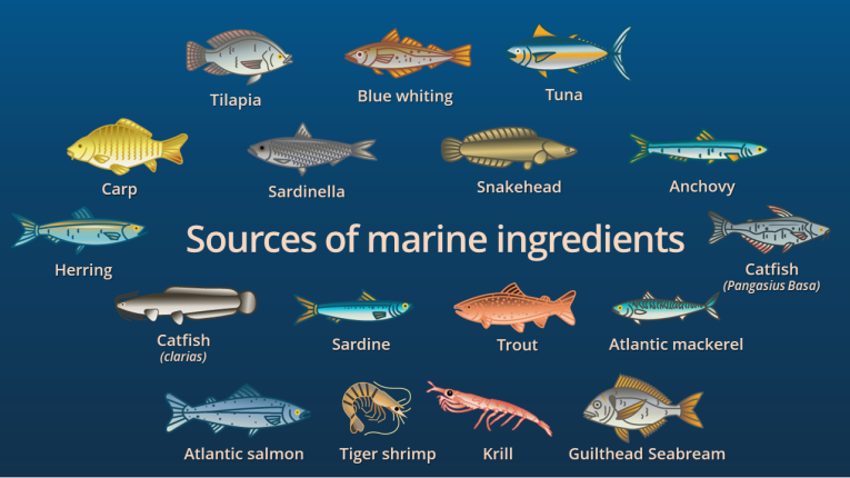 The source: What are marine ingredients?